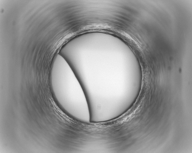 X0000088160929200705150922