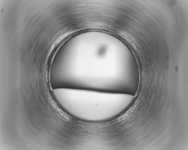 X0000088160931200705150922
