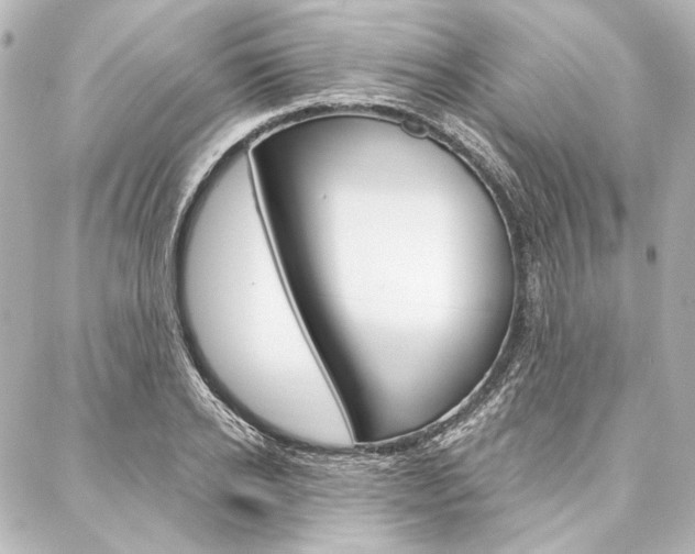 X0000088160934200705150922
