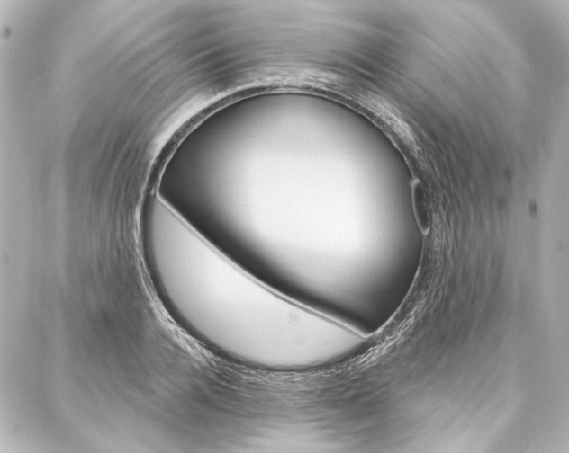 X0000088160936200705150922