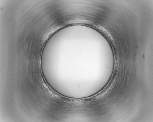 X0000088160937200705150922