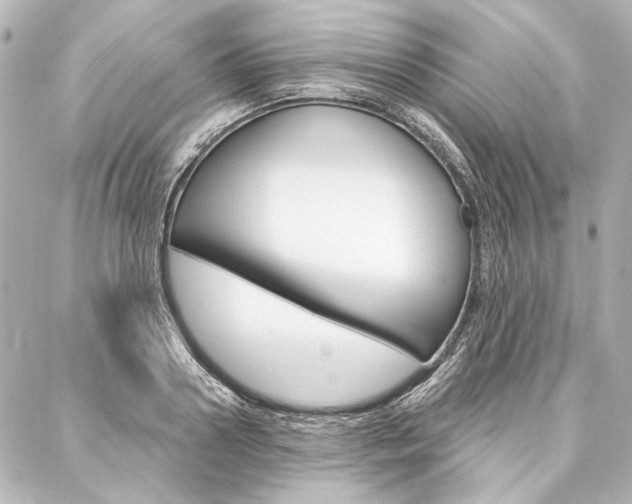 X0000088160938200705150922
