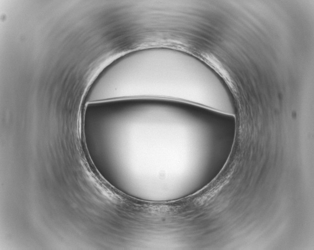 X0000088160940200705150922