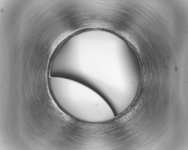 X0000088160943200705150922