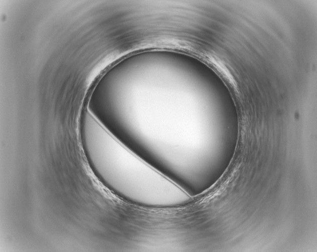 X0000088160944200705150922