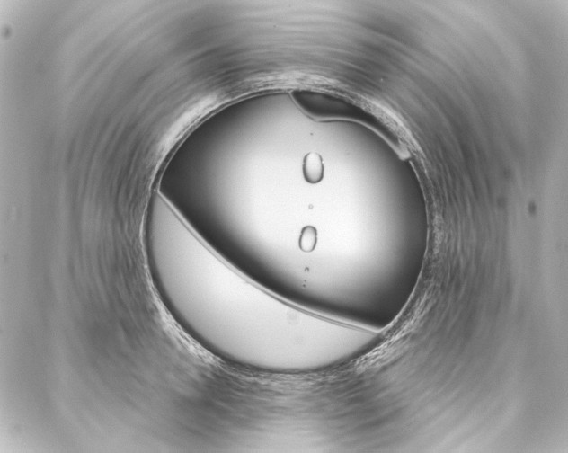 X0000088160946200705150922