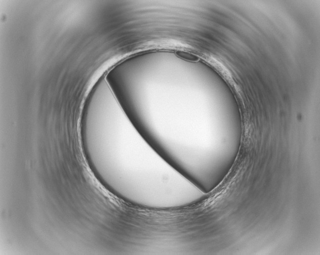 X0000088160947200705150922