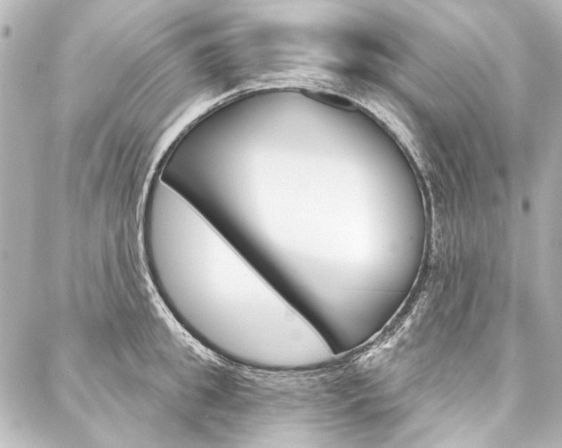 X0000088160949200705150922
