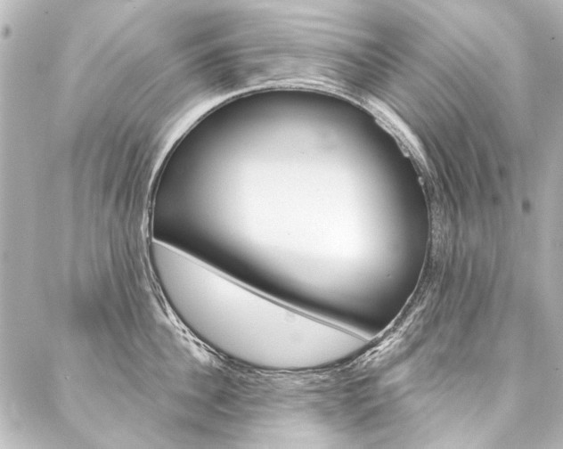 X0000088160956200705150922