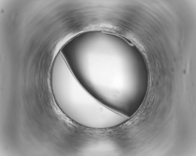 X0000088160960200705150922