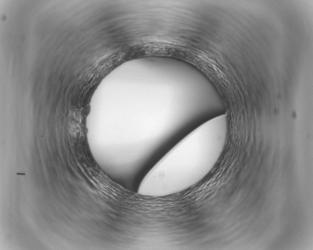 X0000088160964200705150921