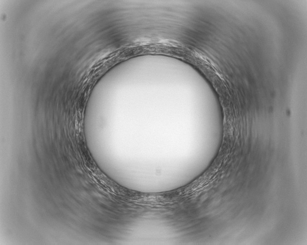 X0000088160966200705150921