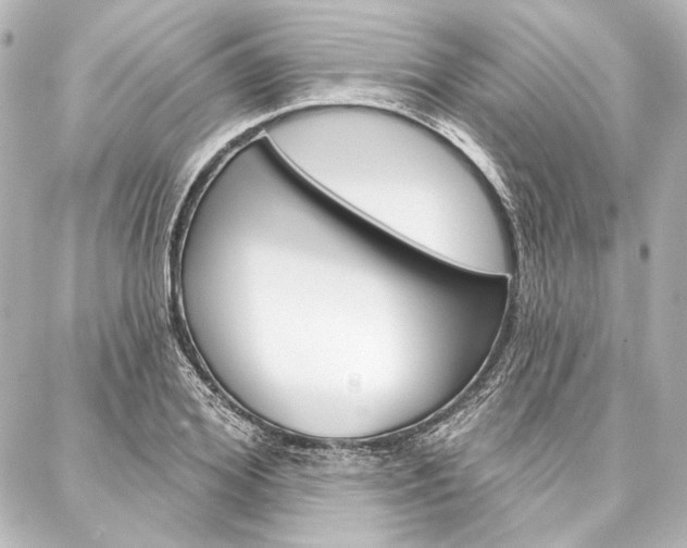 X0000088160980200705150921
