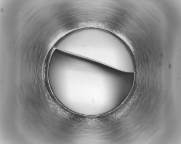 X0000088160983200705150921