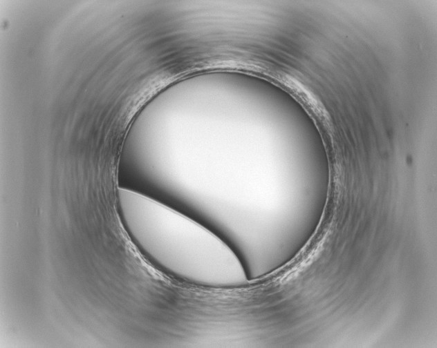X0000088160993200705150921