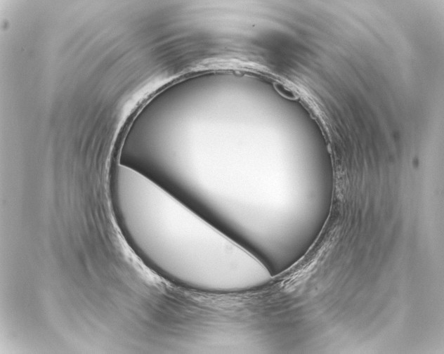 X0000088160995200705150921