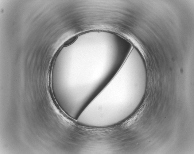X0000088160999200705150921