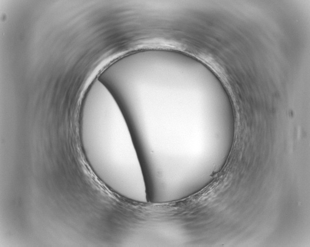 X0000088161008200705150921