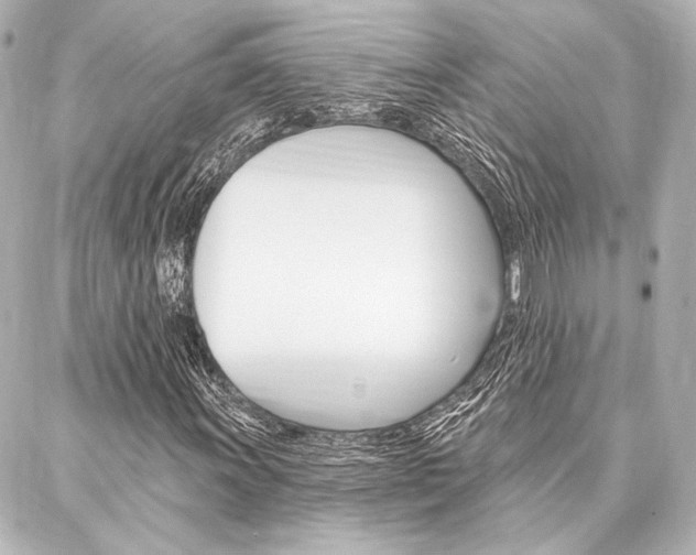 X0000088161011200705150920