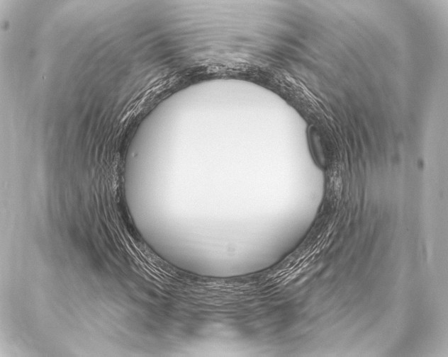 X0000088161012200705150920