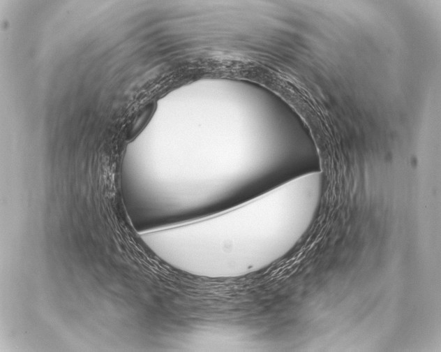 X0000088161013200705150920