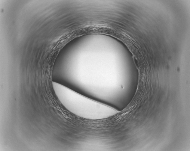 X0000088161014200705150920
