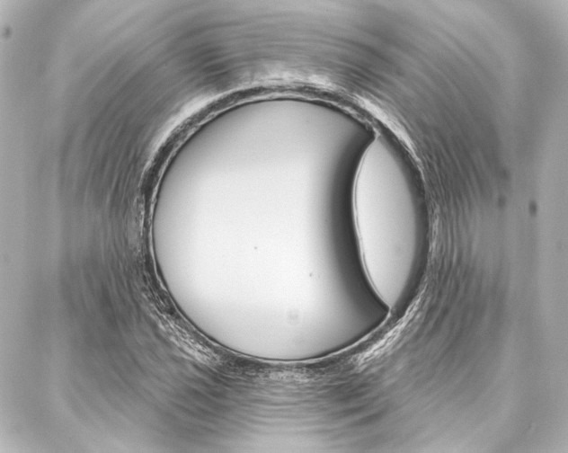 X0000088161021200705150920