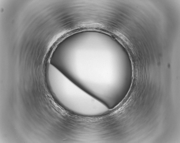 X0000088161022200705150920