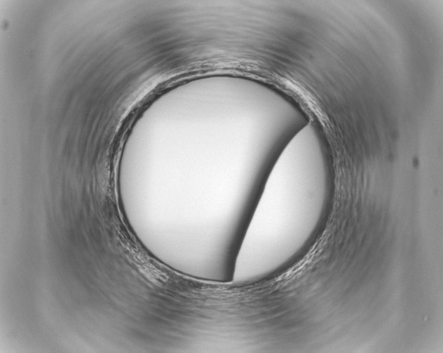 X0000088161023200705150920