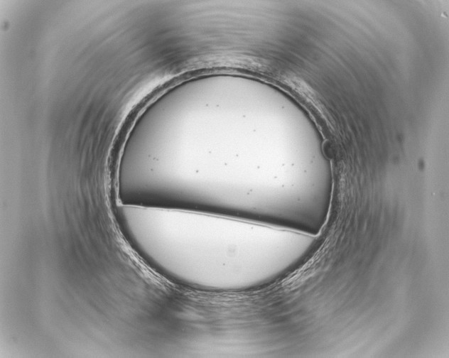 X0000088161024200705150920