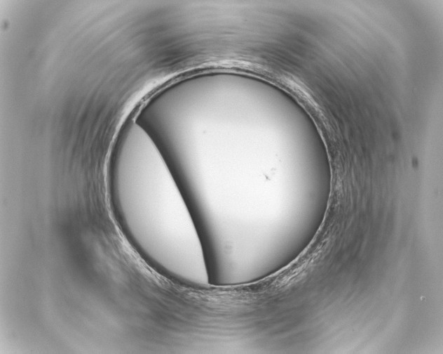 X0000088161032200705150920