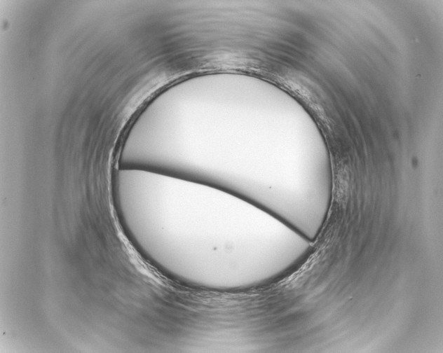 X0000088161039200705150920