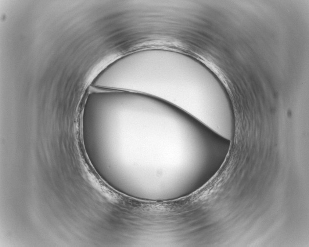 X0000088161042200705150921