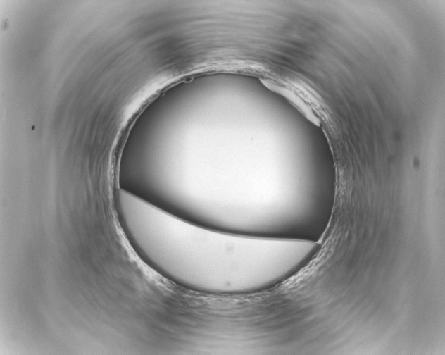 X0000088161046200705150921