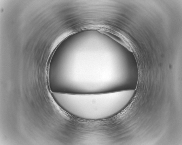 X0000088161050200705150921