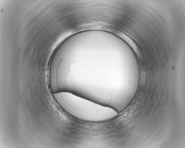 X0000088161051200705150921