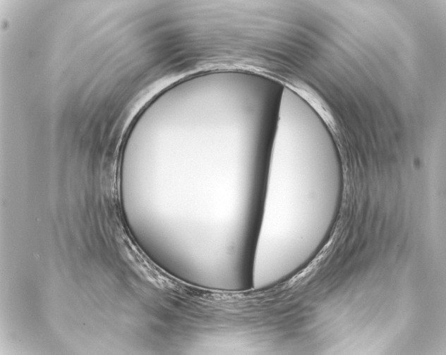 X0000088161052200705150921