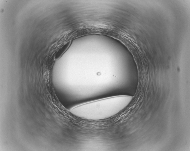 X0000088161061200705150920