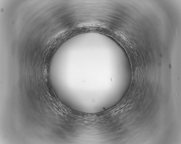 X0000088161062200705150920