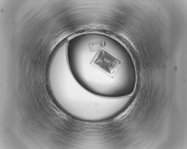 X0000088161065200705150920