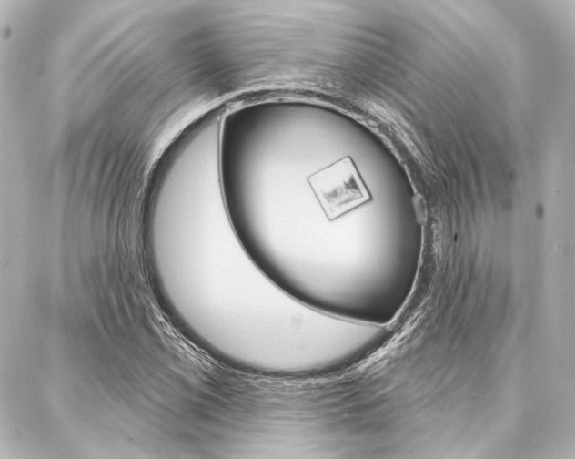 X0000088161069200705150920