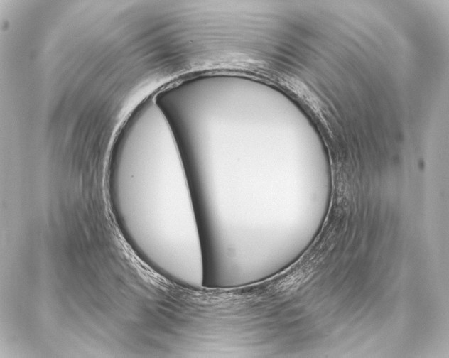 X0000088161072200705150920