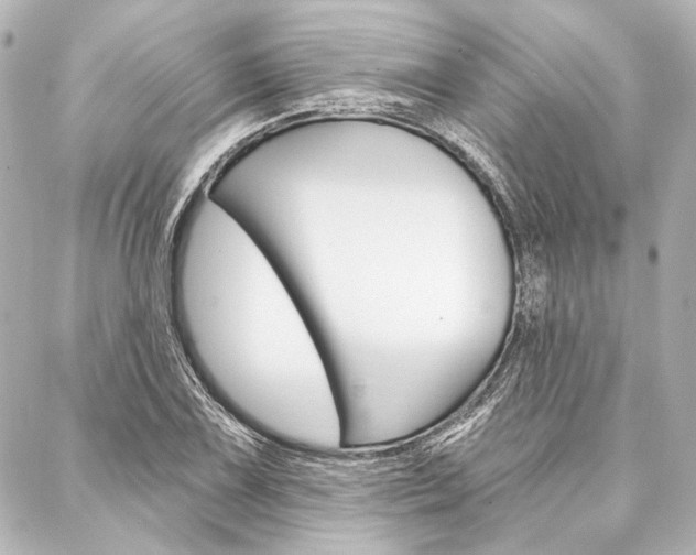 X0000088161075200705150920