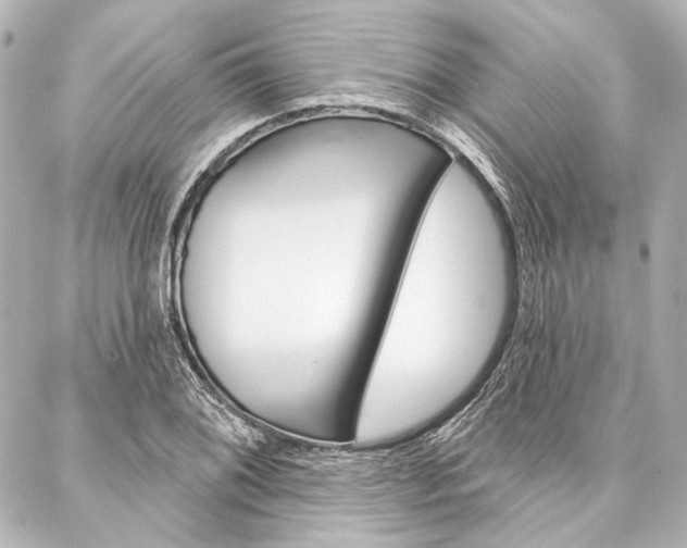 X0000088161076200705150920