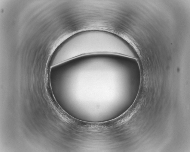 X0000088161077200705150920