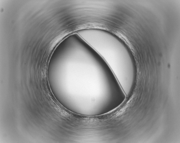 X0000088161081200705150920