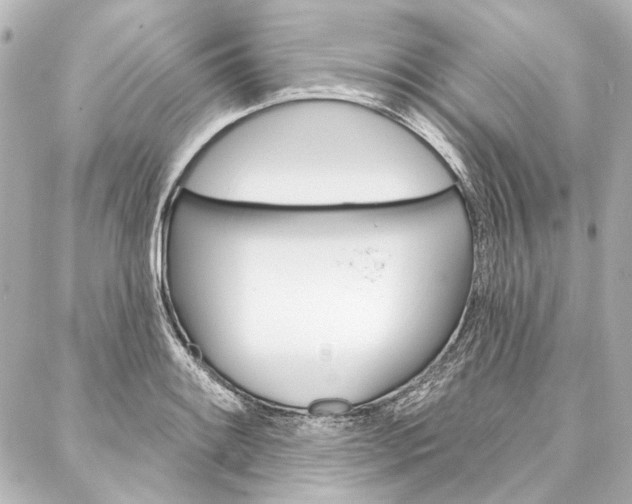 X0000088161084200705150920