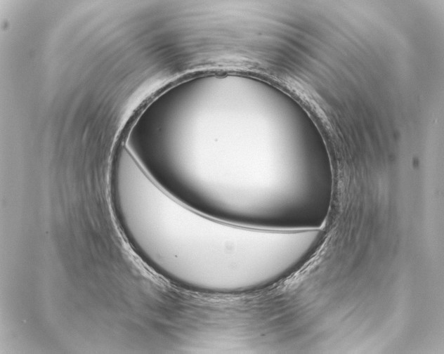 X0000088161085200705150920