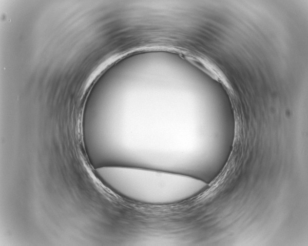 X0000088161101200705150919