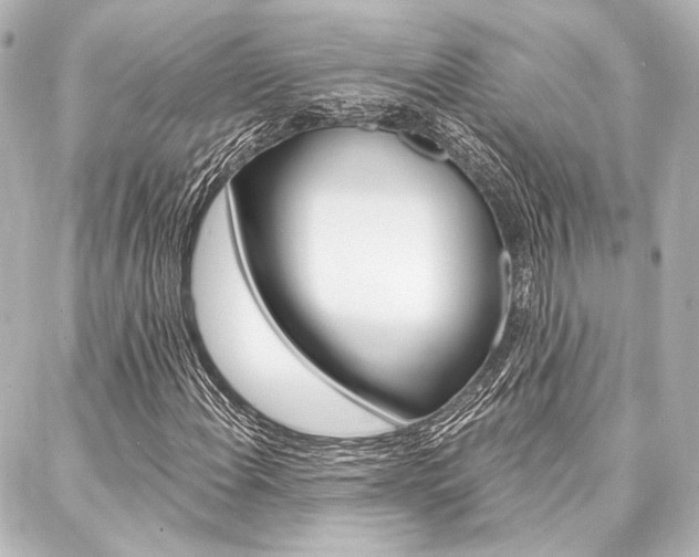 X0000088161108200705150918